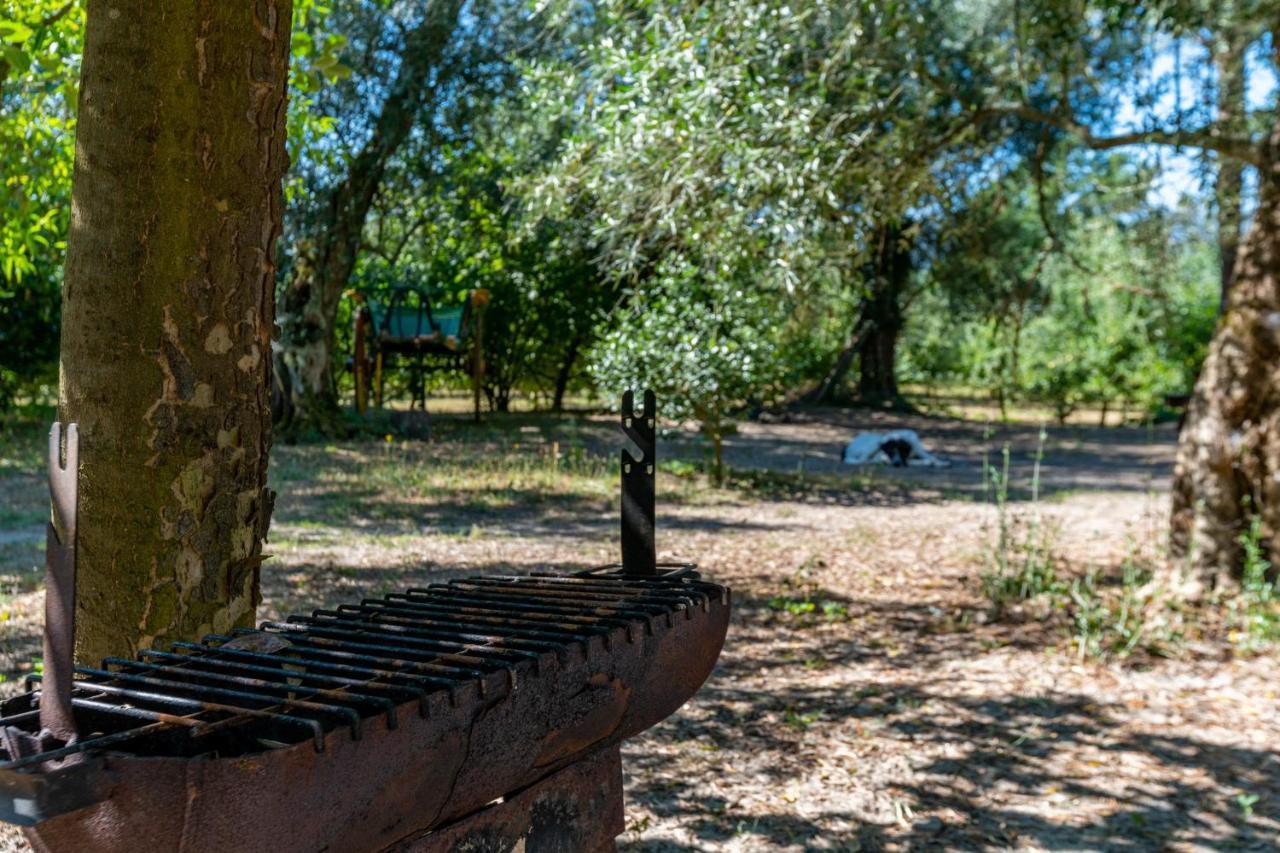 Гостьовий будинок Chale Da Quinta "Lavoura Da Bouca - Fruta Bio" Селоріку-де-Башту Екстер'єр фото