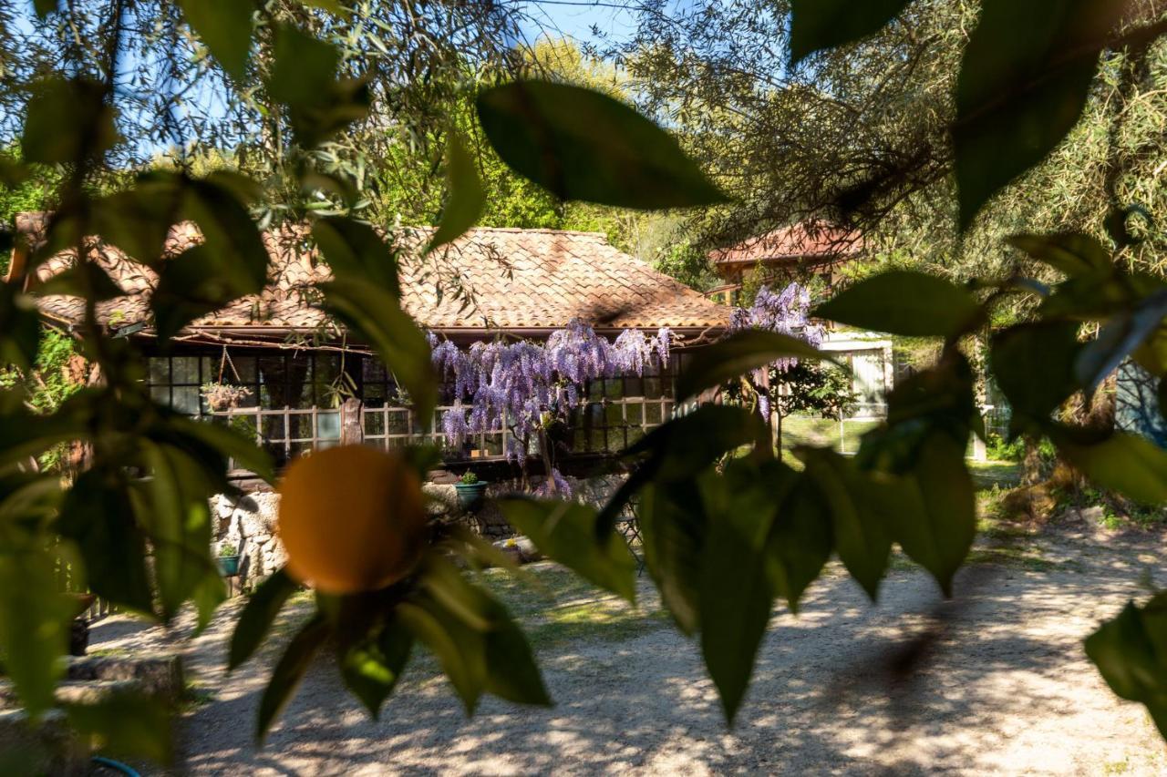 Гостьовий будинок Chale Da Quinta "Lavoura Da Bouca - Fruta Bio" Селоріку-де-Башту Екстер'єр фото